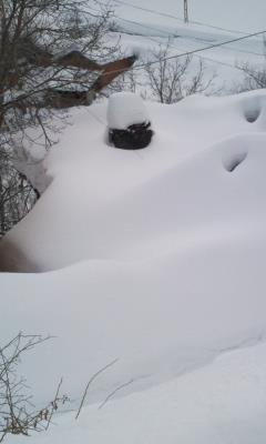 Köyümüzdeki Kar Yağışı