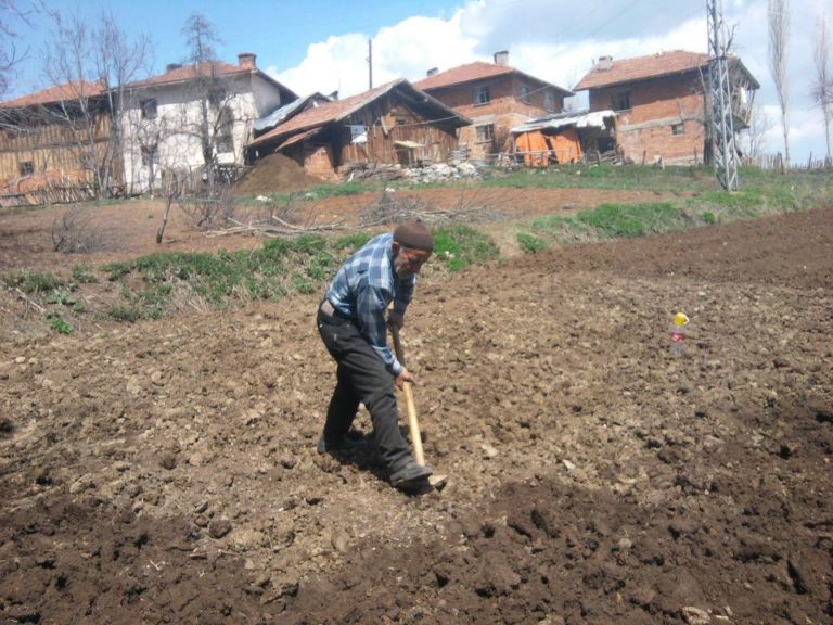 Köyümüzde Bahar